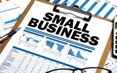 Enterprise Support Grant for Small Businesses