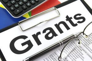 Enterprise Support Grant for Small Businesses